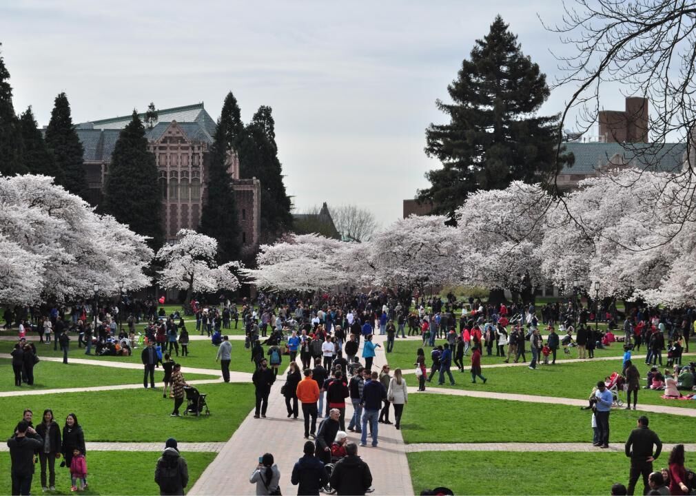 #47. Washington